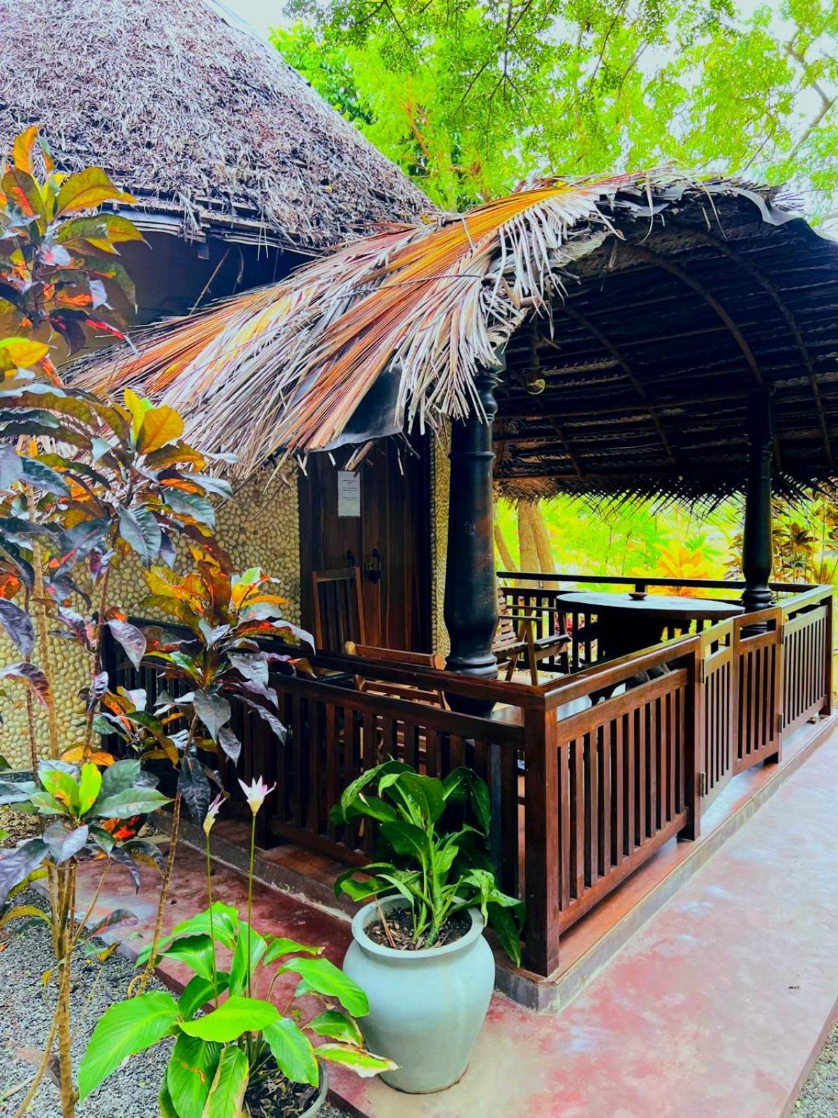 Turtle Watch Cabana Tangalle Ngoại thất bức ảnh