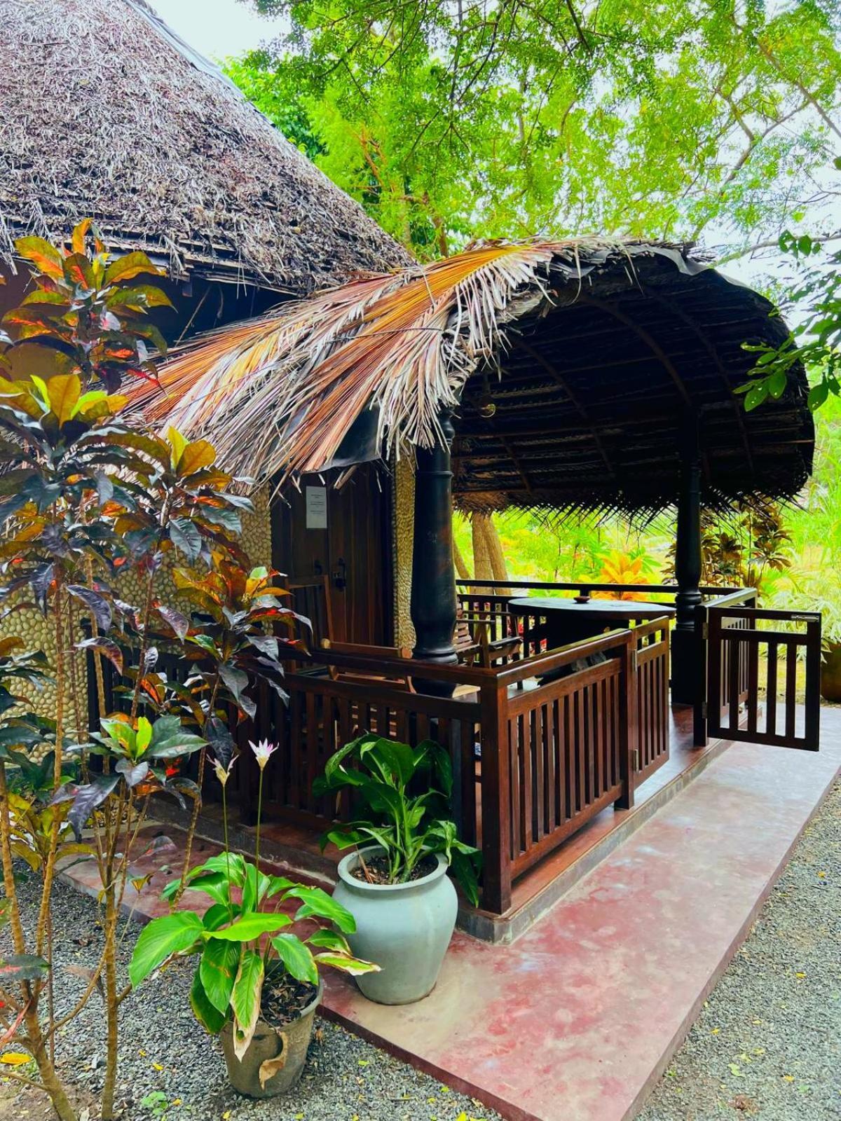 Turtle Watch Cabana Tangalle Ngoại thất bức ảnh