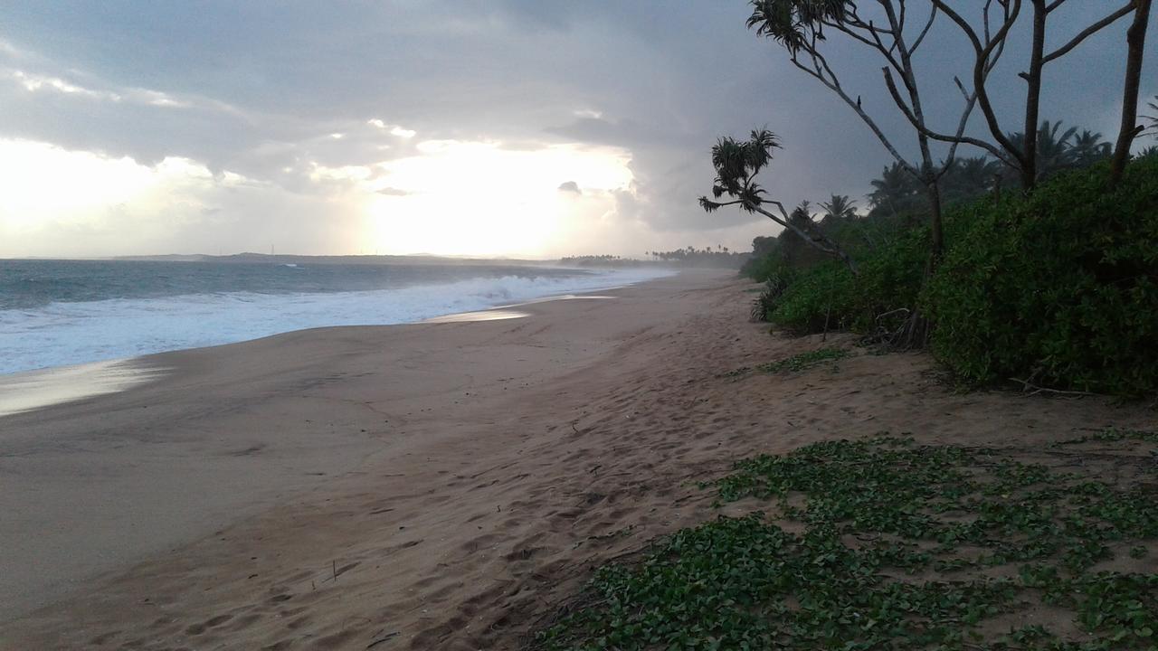 Turtle Watch Cabana Tangalle Ngoại thất bức ảnh