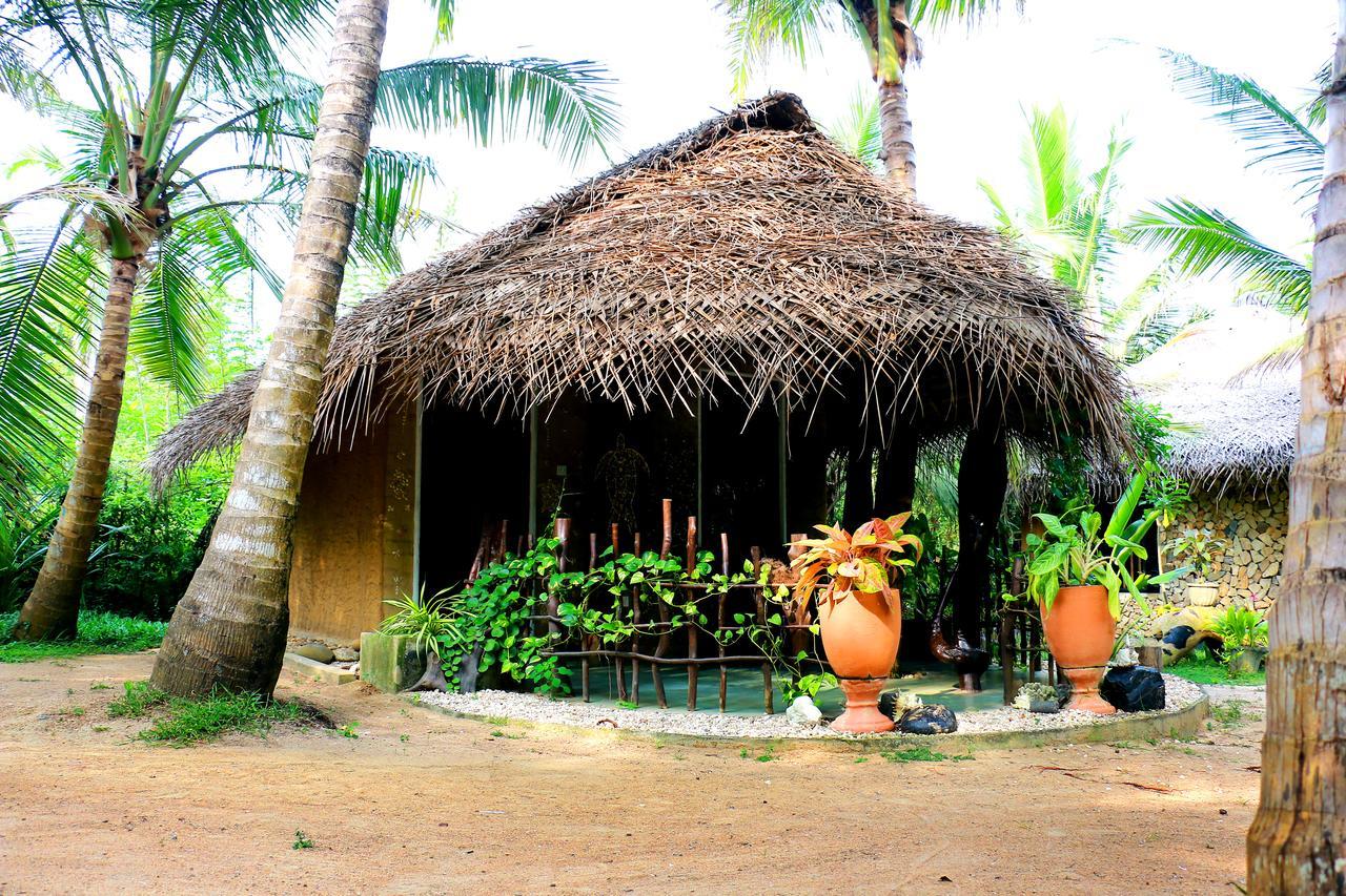 Turtle Watch Cabana Bed & Breakfast Tangalle Ngoại thất bức ảnh