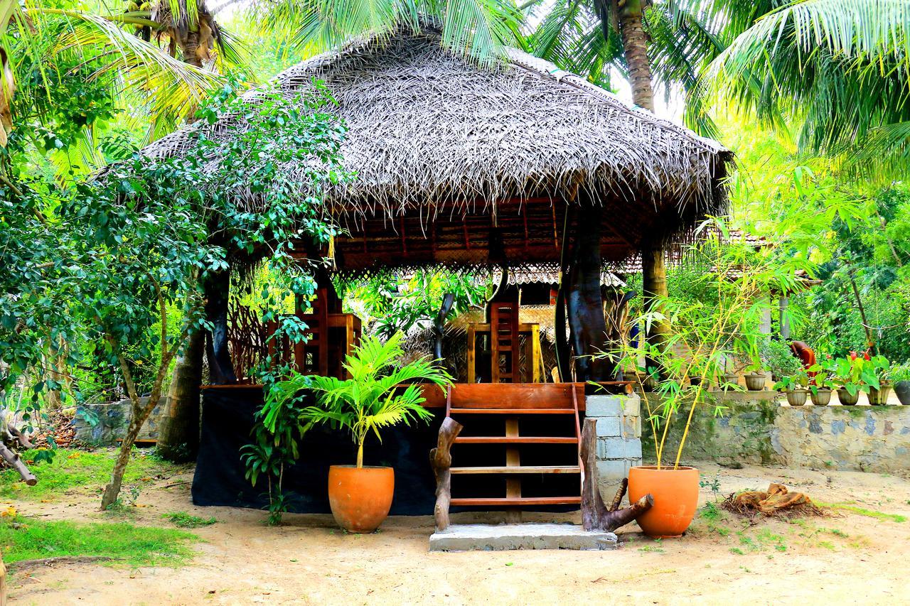 Turtle Watch Cabana Bed & Breakfast Tangalle Ngoại thất bức ảnh