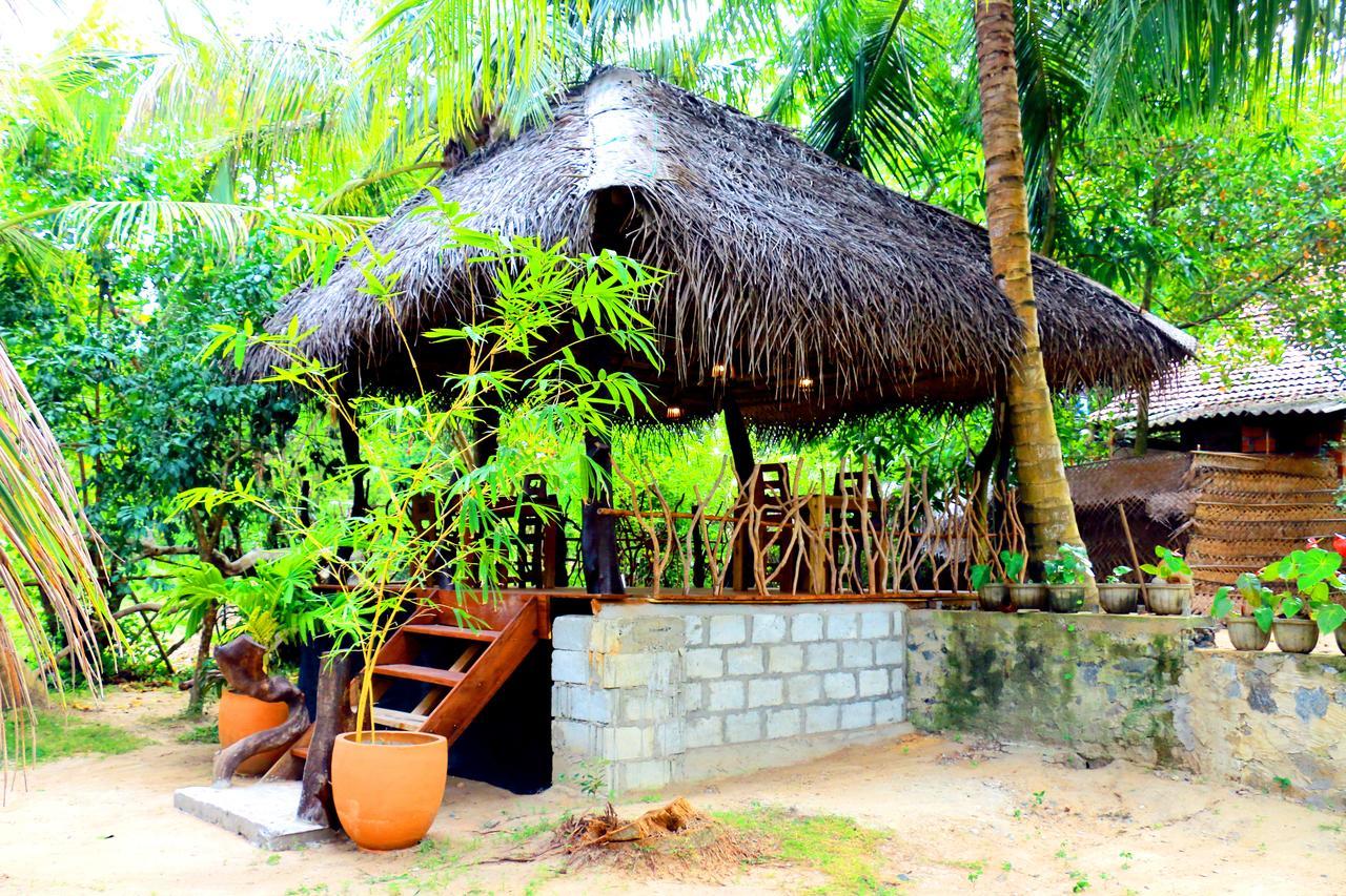 Turtle Watch Cabana Bed & Breakfast Tangalle Ngoại thất bức ảnh